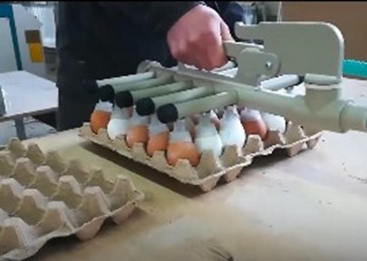 Захват для вакуумного транспортера яиц 
