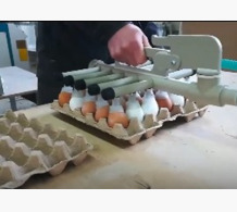 Захват для вакуумного транспортера яиц 