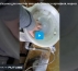 Машина для очистки овощей. Очистка картофеля, моркови, лука, свеклы
