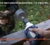 Ёрш-1