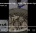 Спрут 1000