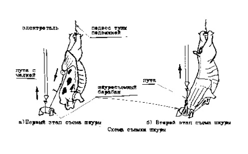 схема работы шкуросъемного агрегата